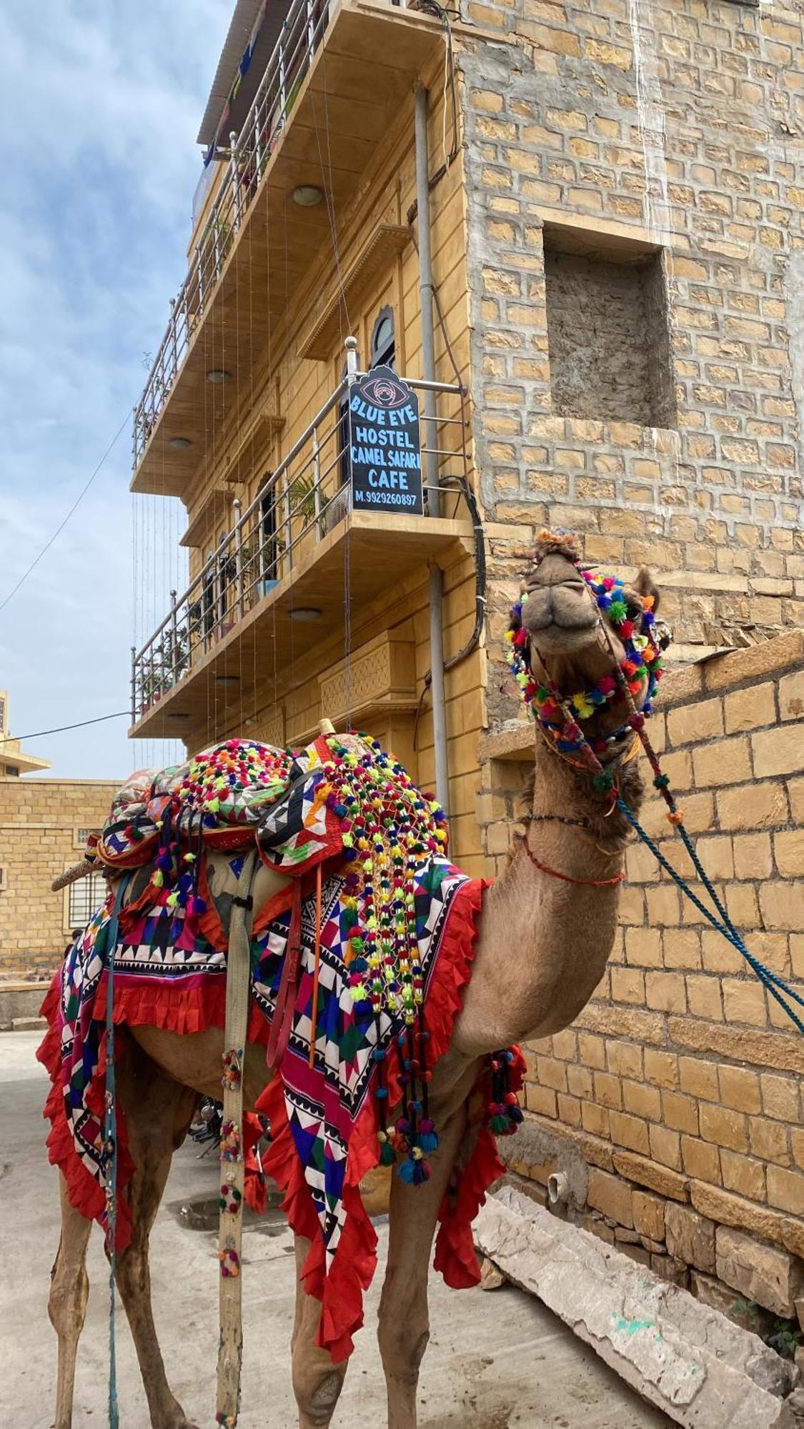 Blue Eye Hostel Jaisalmer Exterior foto